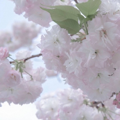 兽设比例设计基础教程兽圈社群